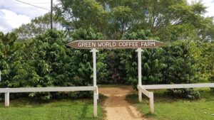 Green World Coffee Farm